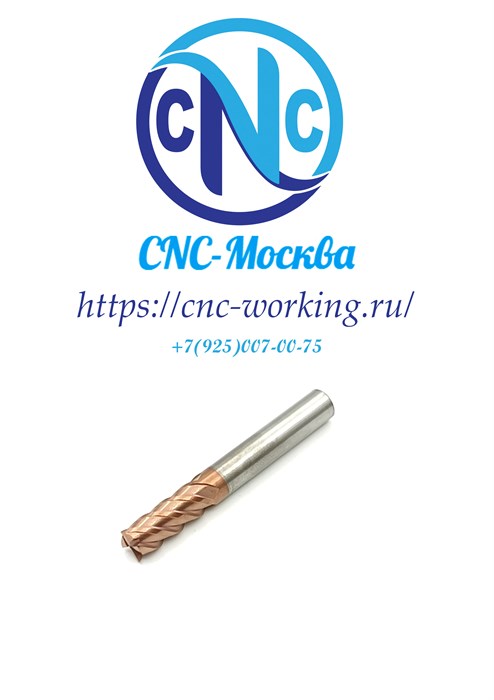 Фреза концевая твердосплавная 6 мм 4F 2276 - фото 5176